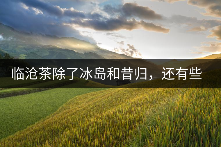 臨滄茶除了冰島和昔歸，還有些什么？