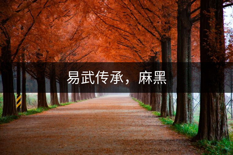 易武傳承，麻黑