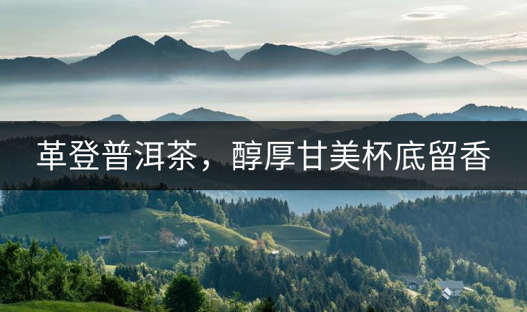 革登普洱茶，醇厚甘美杯底留香