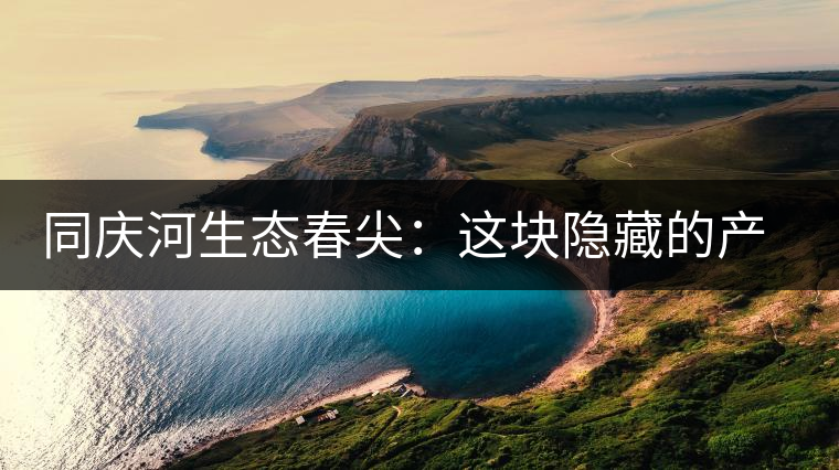 同慶河生態(tài)春尖：這塊隱藏的產(chǎn)茶圣地，你知道嗎？