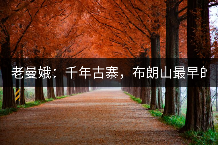 老曼娥：千年古寨，布朗山最早的民族！