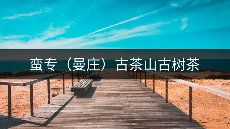 蠻專(zhuān)（曼莊）古茶山古樹(shù)茶