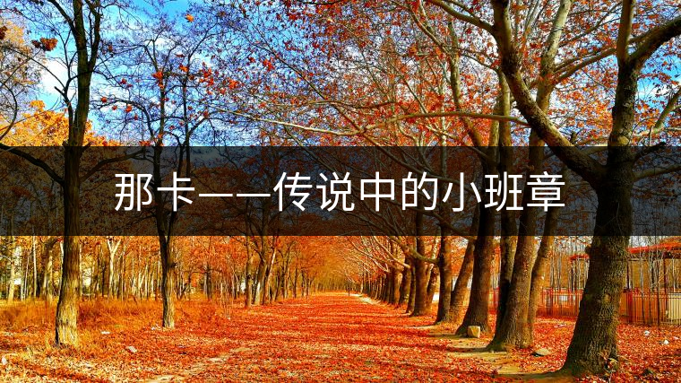 那卡——傳說(shuō)中的小班章