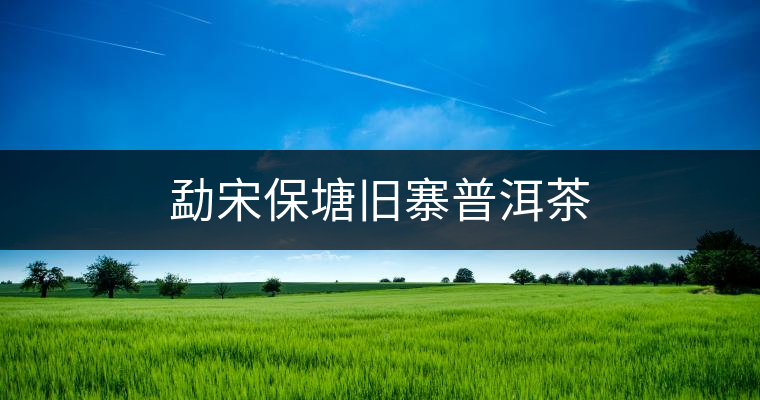 勐宋保塘舊寨普洱茶 勐宋保塘舊寨普洱茶