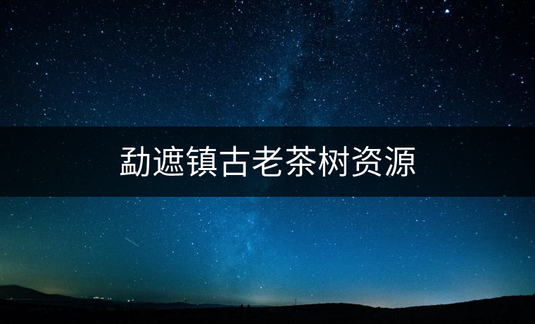 勐遮鎮(zhèn)古老茶樹(shù)資源 勐遮鎮(zhèn)古老茶樹(shù)資源