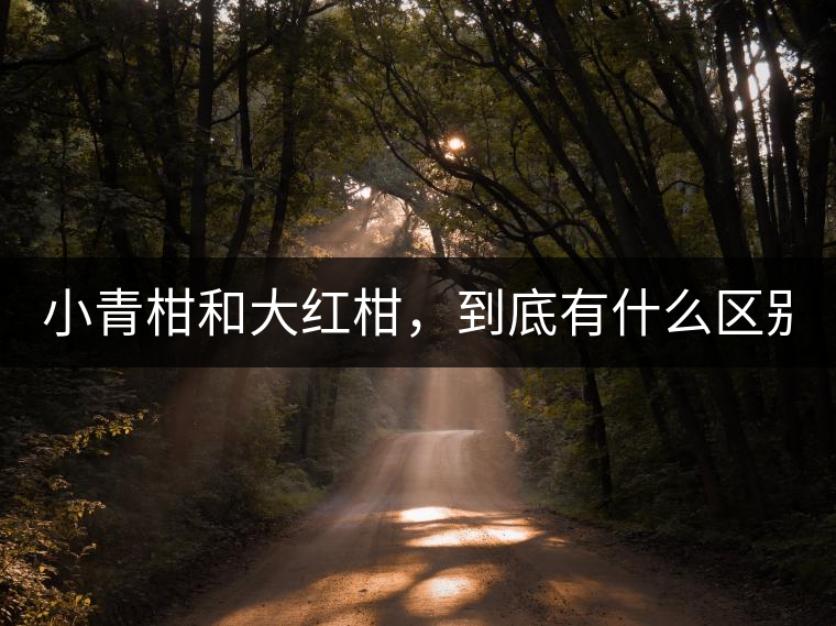 小青柑和大紅柑，到底有什么區(qū)別？