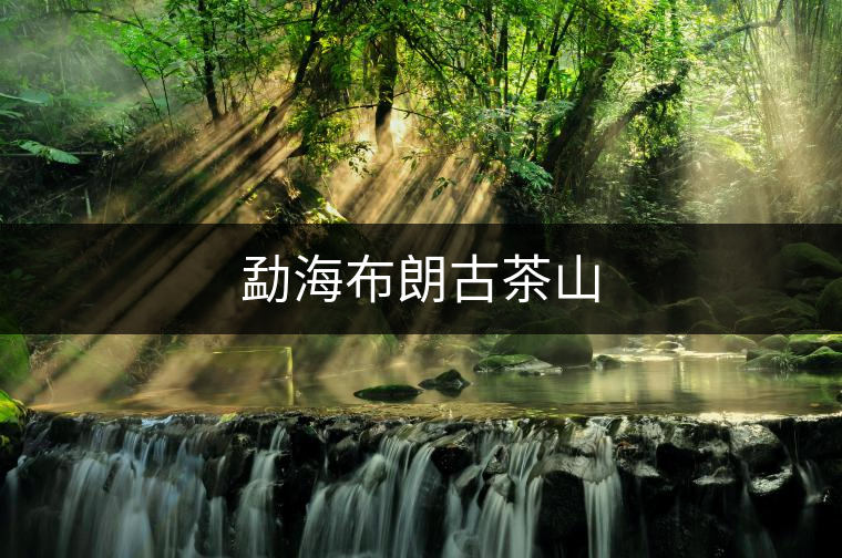 勐海布朗古茶山