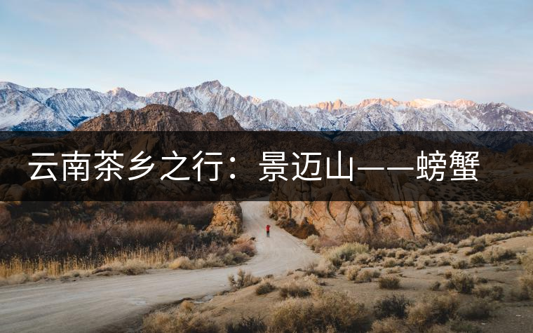 云南茶鄉(xiāng)之行：景邁山——螃蟹腳