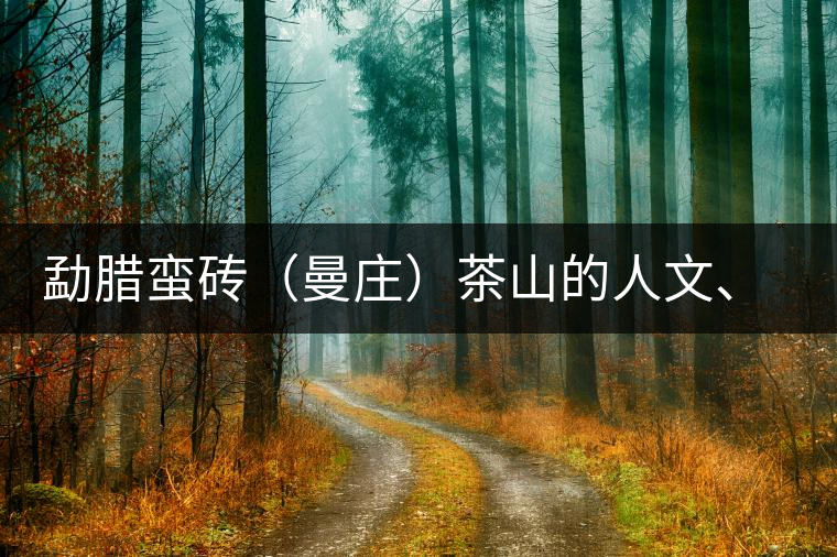 勐臘蠻磚（曼莊）茶山的人文、生態(tài)