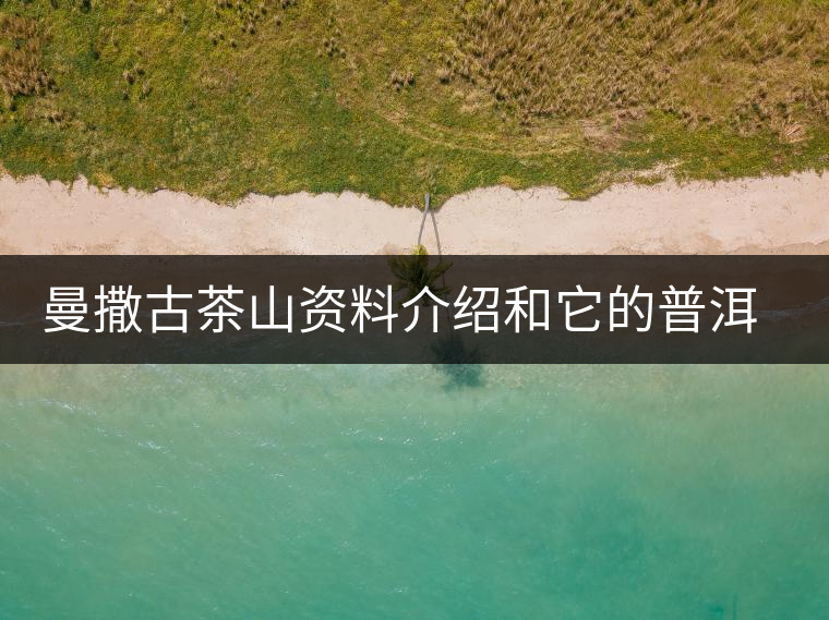 曼撒古茶山資料介紹和它的普洱茶口感