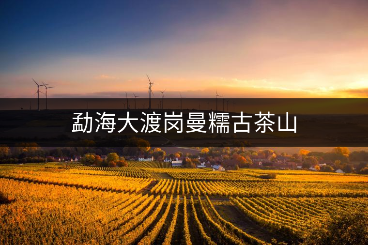 勐海大渡崗曼糯古茶山