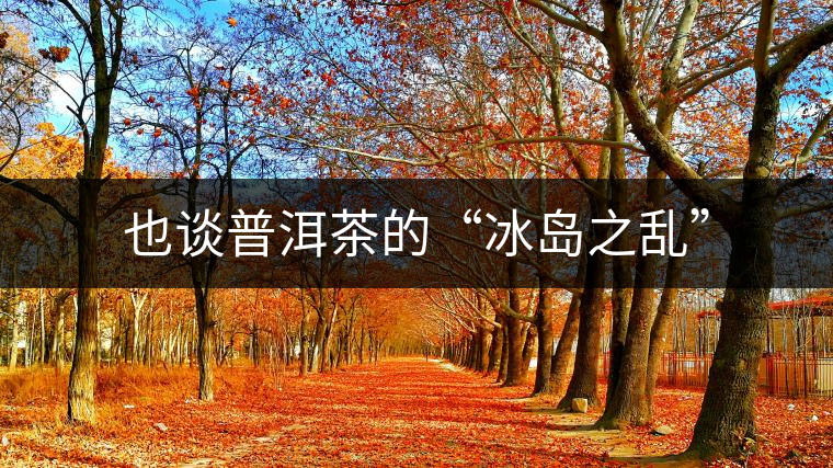 也談普洱茶的“冰島之亂”