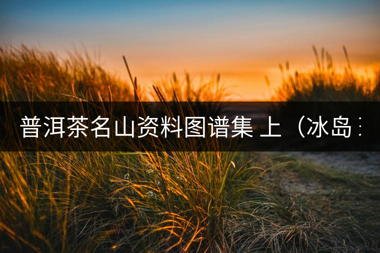 普洱茶名山資料圖譜集 上(冰島 班章 班盆 曼峨) 普洱茶名山資料圖譜集 上(冰島 班章 班盆 曼峨)