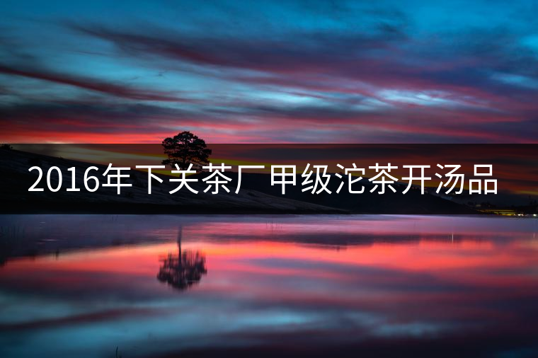 2016年下關(guān)茶廠甲級沱茶開湯品鑒