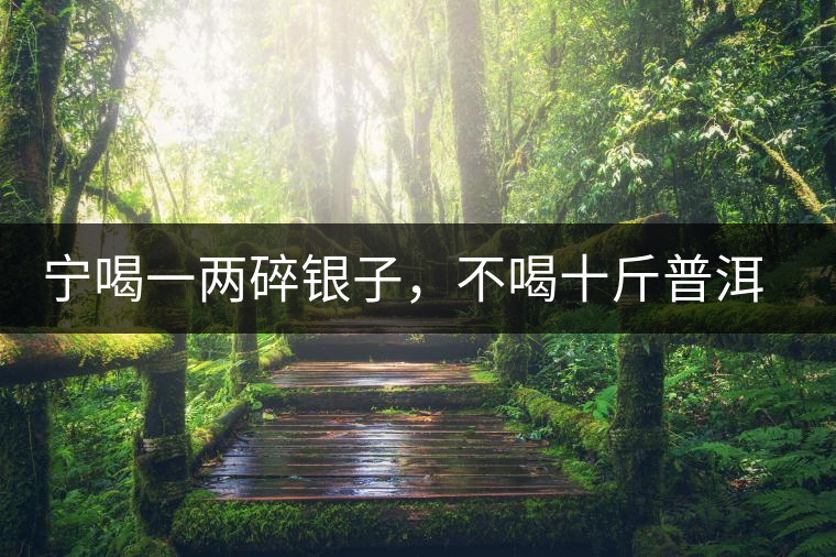 寧喝一兩碎銀子，不喝十斤普洱茶