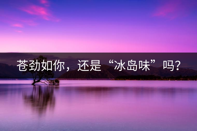 蒼勁如你，還是“冰島味”嗎？