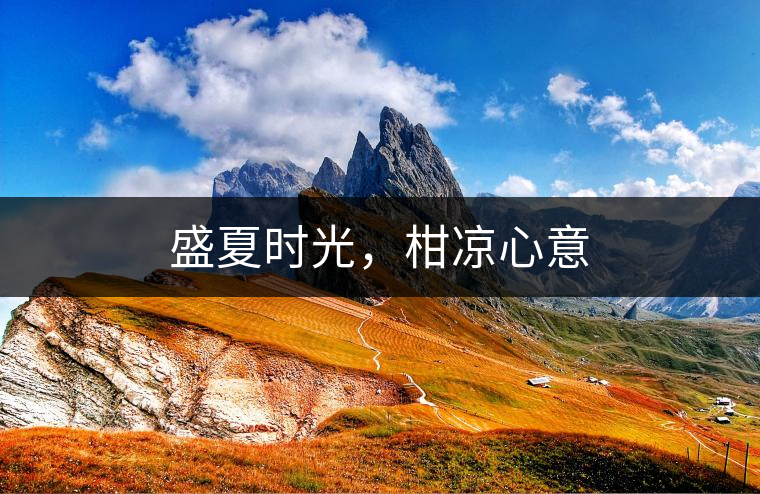 盛夏時光，柑涼心意