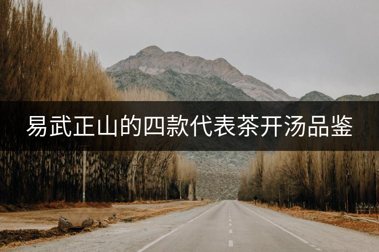 易武正山的四款代表茶開湯品鑒