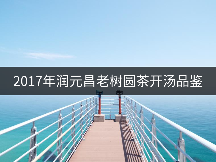 2017年潤元昌老樹圓茶開湯品鑒