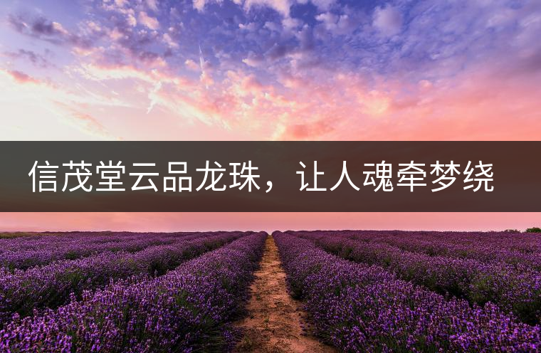 信茂堂云品龍珠，讓人魂?duì)繅?mèng)繞的尤物