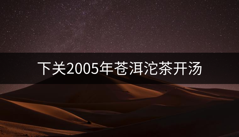 下關2005年蒼洱沱茶開湯