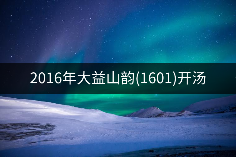 2016年大益山韻(1601)開(kāi)湯 2016年大益山韻(1601)開(kāi)湯
