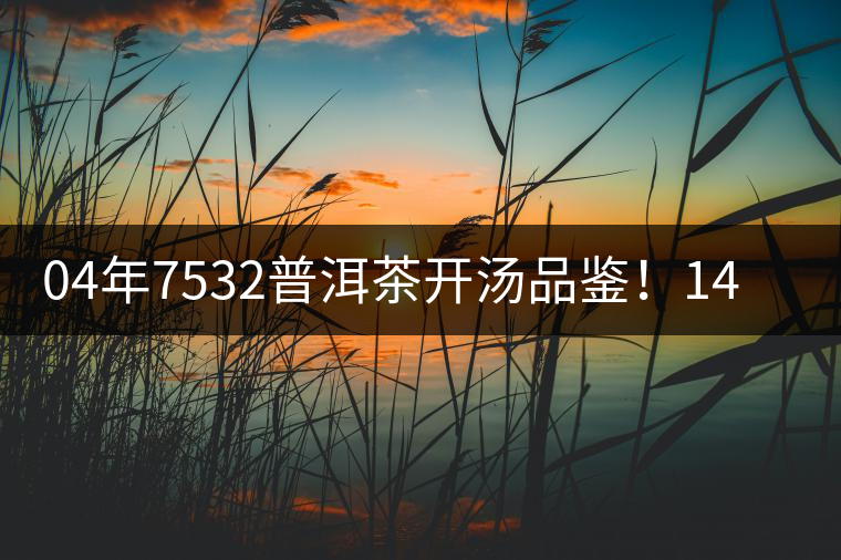 04年7532普洱茶開(kāi)湯品鑒！14年轉(zhuǎn)化，經(jīng)典雪印配方！