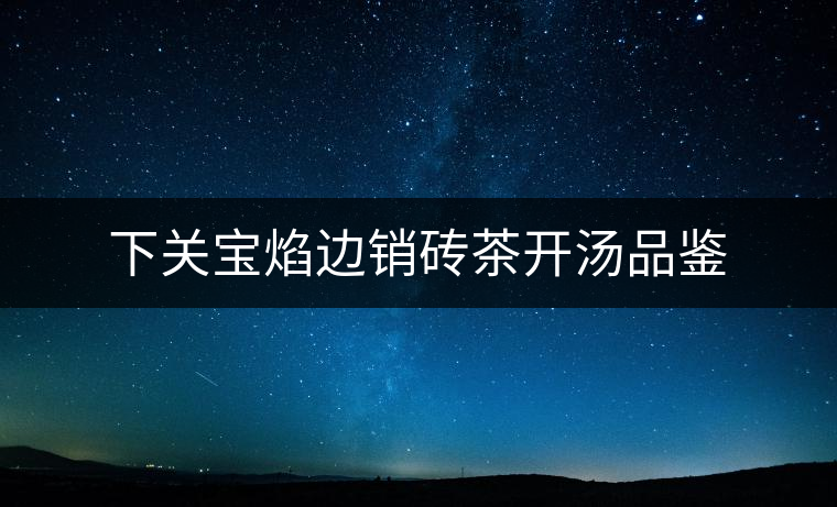 下關(guān)寶焰邊銷磚茶開(kāi)湯品鑒