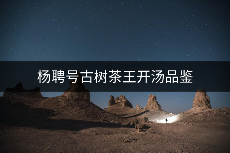 楊聘號(hào)古樹(shù)茶王開(kāi)湯品鑒 楊聘號(hào)古樹(shù)茶王開(kāi)湯品鑒