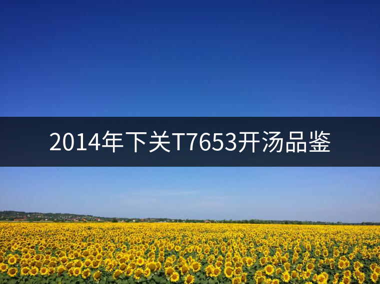 2014年下關(guān)T7653開湯品鑒 2014年下關(guān)T7653開湯品鑒