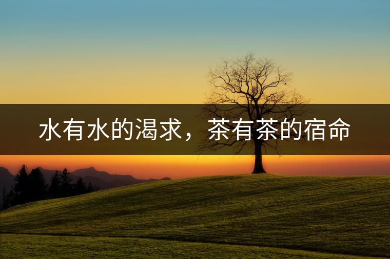 水有水的渴求，茶有茶的宿命