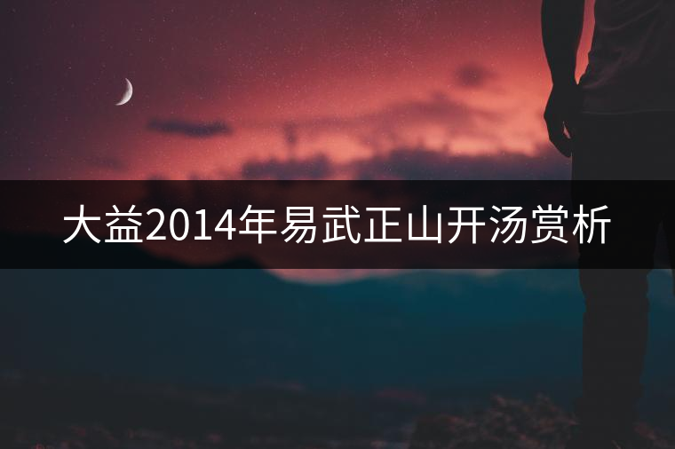 大益2014年易武正山開湯賞析 大益2014年易武正山開湯賞析