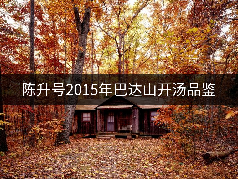陳升號(hào)2015年巴達(dá)山開(kāi)湯品鑒 陳升號(hào)2015年巴達(dá)山開(kāi)湯品鑒