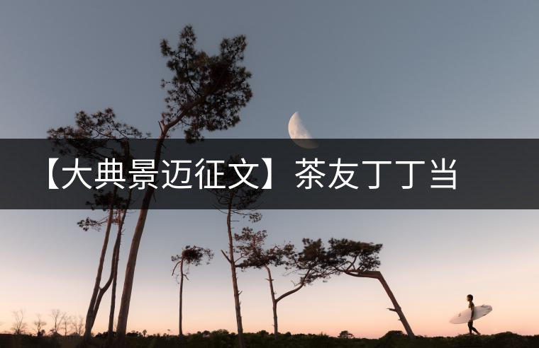 【大典景邁征文】茶友丁丁當(dāng) 開湯品鑒