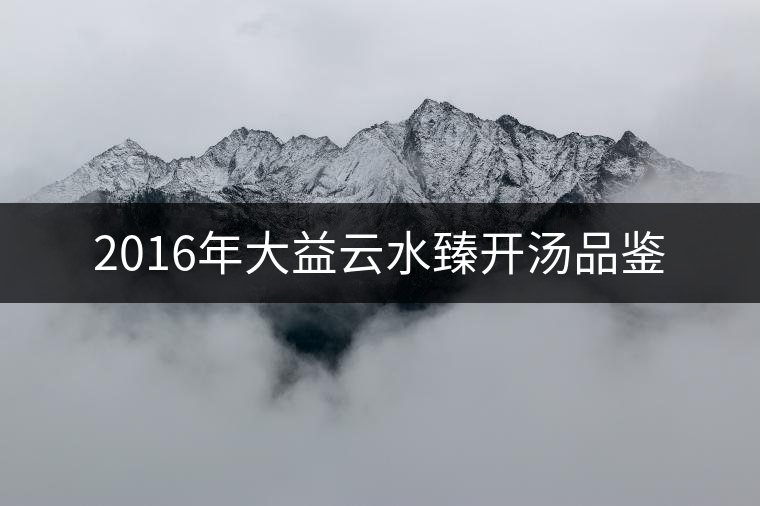 2016年大益云水臻開(kāi)湯品鑒 2016年大益云水臻開(kāi)湯品鑒