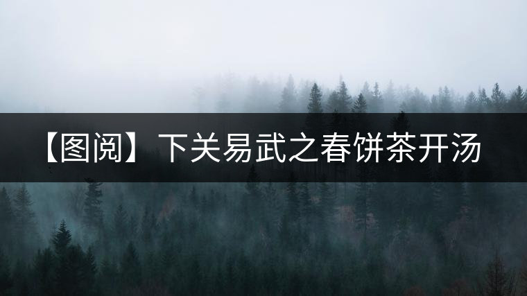 【圖閱】下關(guān)易武之春餅茶開湯品鑒 【圖閱】下關(guān)易武之春餅茶開湯品鑒