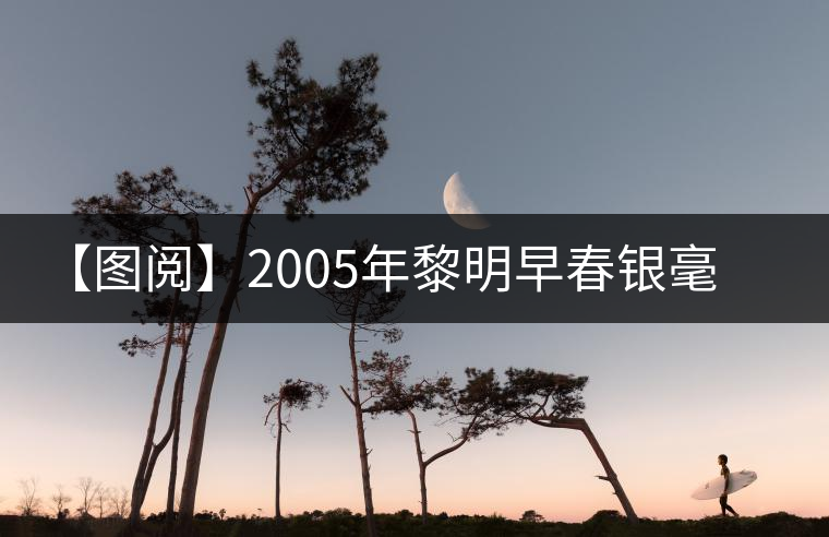 【圖閱】2005年黎明早春銀毫開(kāi)湯 【圖閱】2005年黎明早春銀毫開(kāi)湯