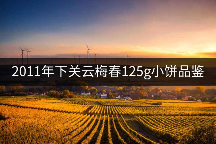 2011年下關(guān)云梅春125g小餅品鑒 2011年下關(guān)云梅春125g小餅品鑒