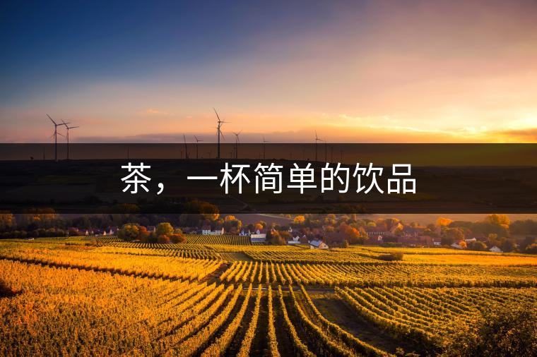 茶，一杯簡單的飲品