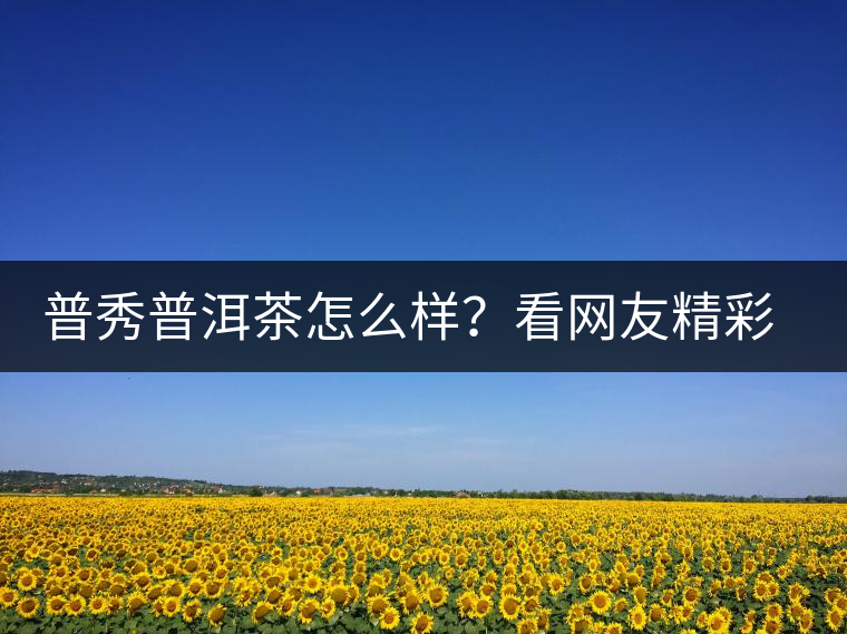 普秀普洱茶怎么樣？看網(wǎng)友精彩回答