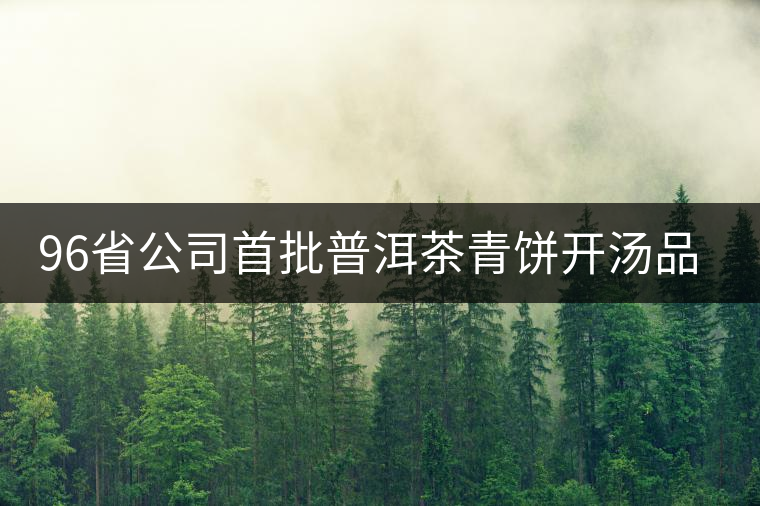 96省公司首批普洱茶青餅開(kāi)湯品鑒