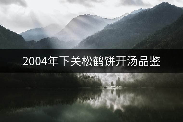 2004年下關(guān)松鶴餅開(kāi)湯品鑒