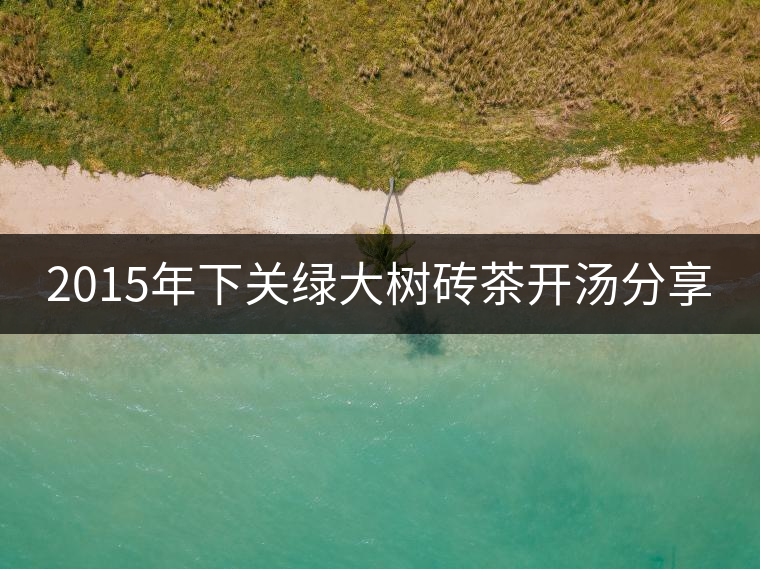 2015年下關(guān)綠大樹磚茶開湯分享