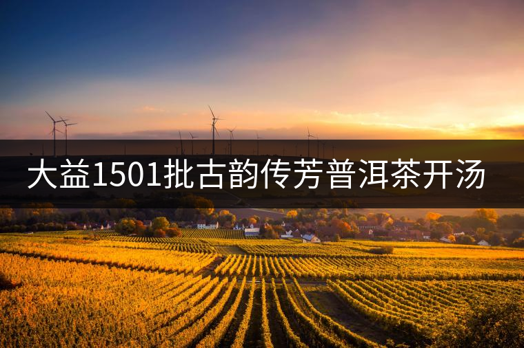 大益1501批古韻傳芳普洱茶開(kāi)湯品鑒 大益1501批古韻傳芳普洱茶開(kāi)湯品鑒