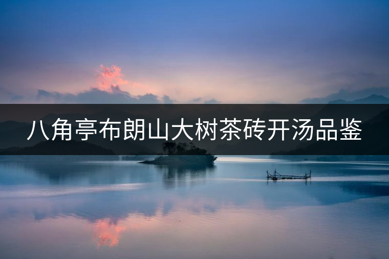 八角亭布朗山大樹(shù)茶磚開(kāi)湯品鑒