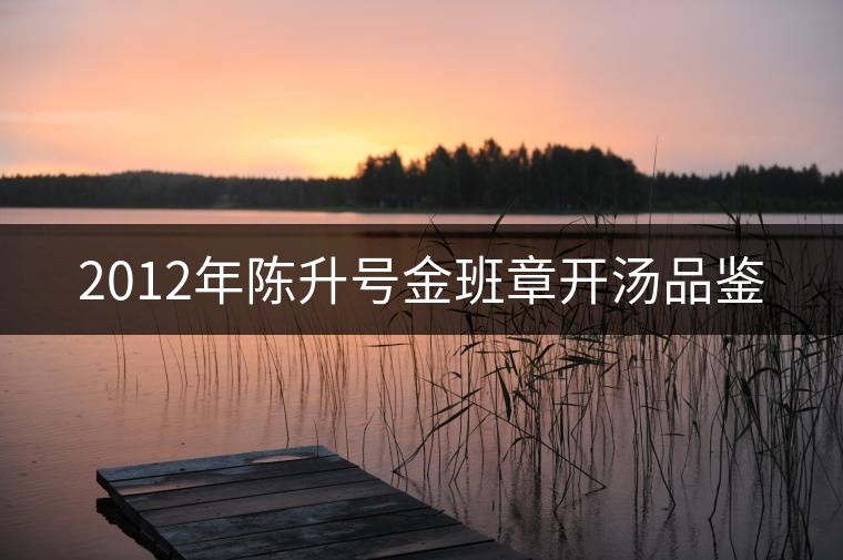 2012年陳升號(hào)金班章開(kāi)湯品鑒