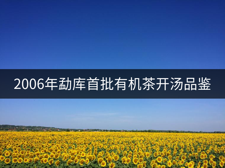 2006年勐庫(kù)首批有機(jī)茶開(kāi)湯品鑒 2006年勐庫(kù)首批有機(jī)茶開(kāi)湯品鑒