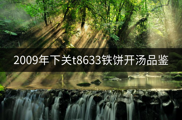 2009年下關(guān)t8633鐵餅開(kāi)湯品鑒