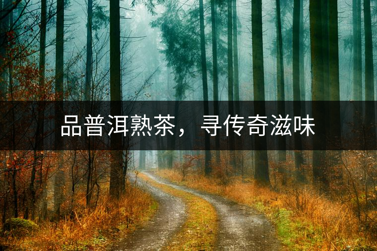 品普洱熟茶，尋傳奇滋味