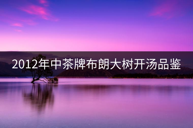 2012年中茶牌布朗大樹(shù)開(kāi)湯品鑒